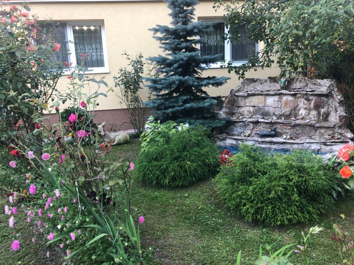 Casa Todea Hotel Cîmpeni Exterior photo